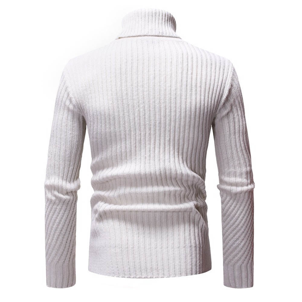 WarmEdge Turtleneck Sweater